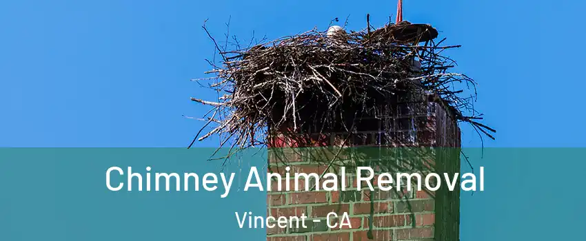  Chimney Animal Removal Vincent - CA