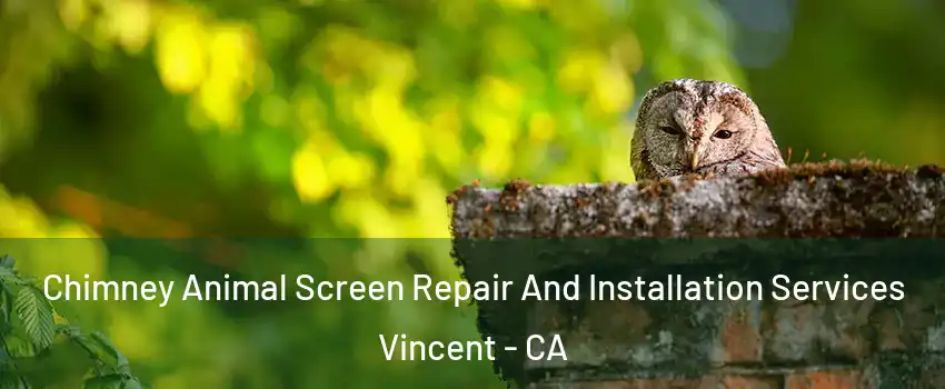  Chimney Animal Screen Repair And Installation Services Vincent - CA