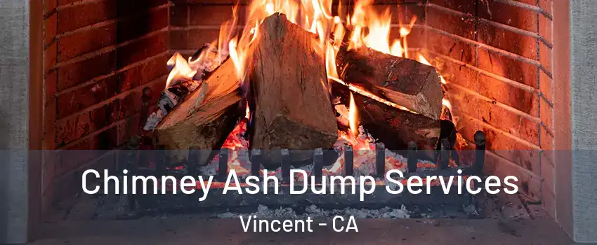  Chimney Ash Dump Services Vincent - CA