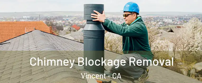  Chimney Blockage Removal Vincent - CA