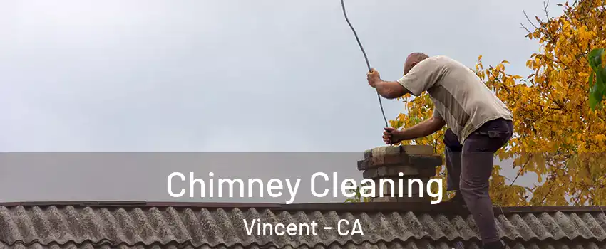  Chimney Cleaning Vincent - CA