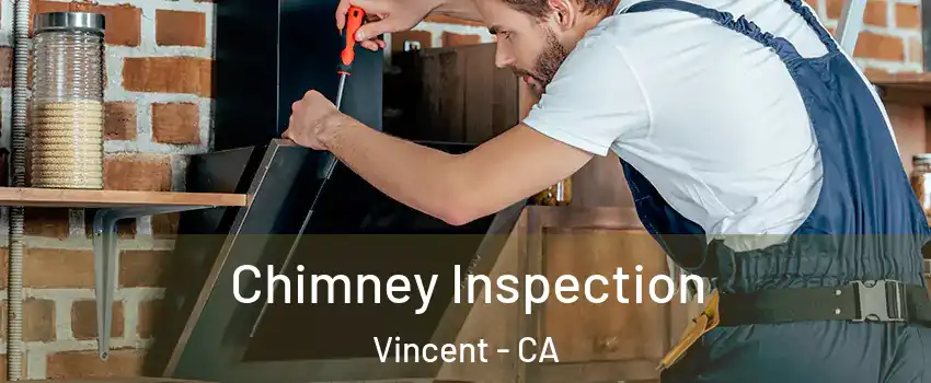  Chimney Inspection Vincent - CA