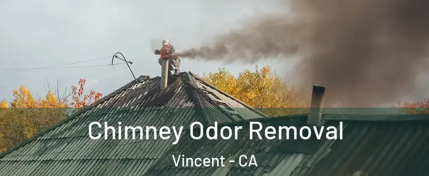  Chimney Odor Removal Vincent - CA