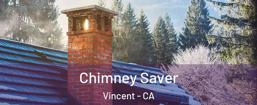 Chimney Saver Vincent - CA
