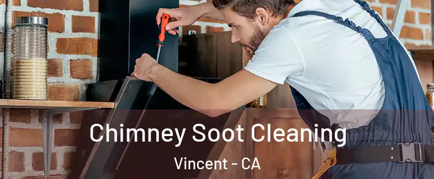  Chimney Soot Cleaning Vincent - CA