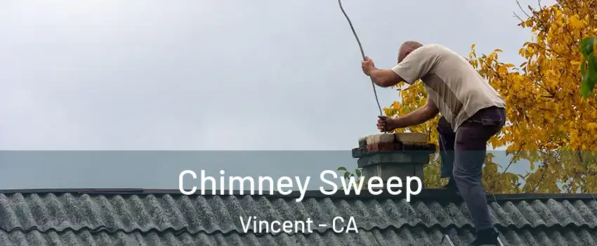  Chimney Sweep Vincent - CA