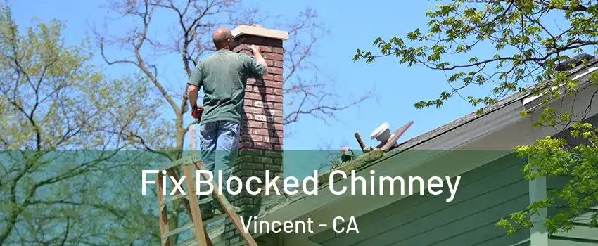  Fix Blocked Chimney Vincent - CA
