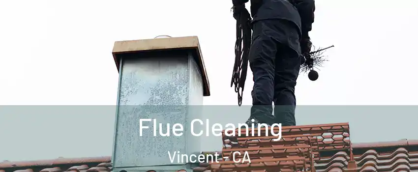  Flue Cleaning Vincent - CA