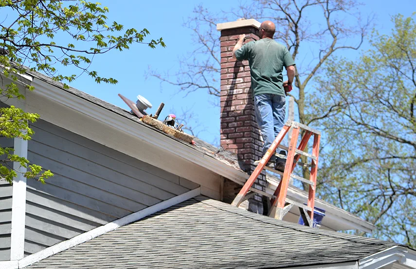 Chimney & Fireplace Inspections Services in Vincent, CA