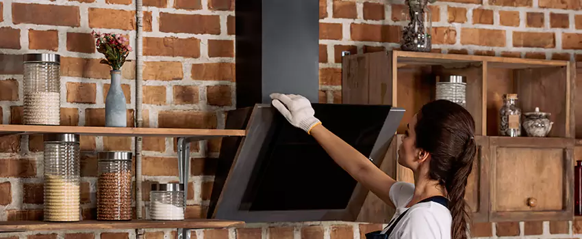 Chimney Installation in Vincent, CA