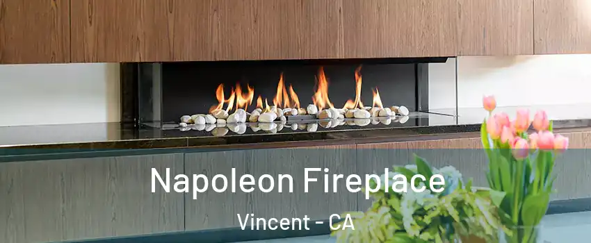  Napoleon Fireplace Vincent - CA